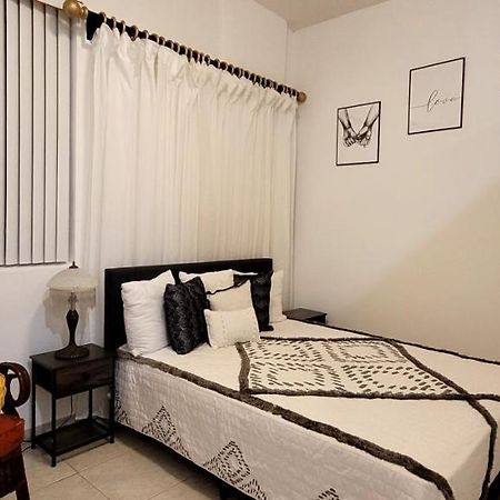 Villa Las Palmeras South Miami Kültér fotó