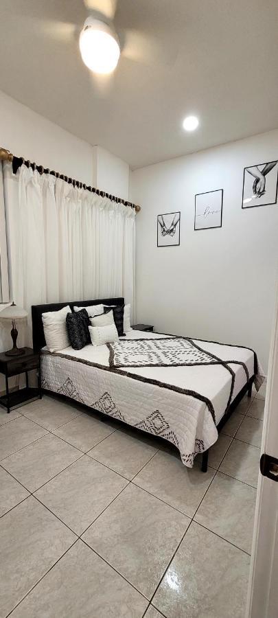 Villa Las Palmeras South Miami Kültér fotó